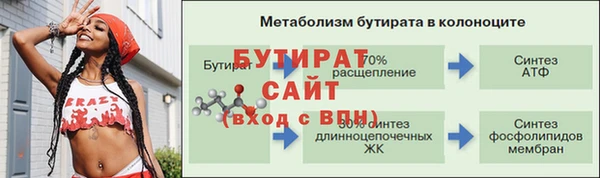 гидра Богородицк